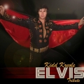 ElvisUK on Band Mate