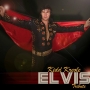 ElvisUK on Band Mate